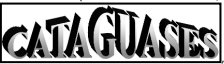 31.1.jpg 224×64
