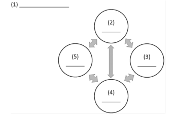 Q37.png 345×232