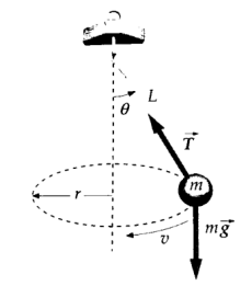 Q13.png 230×261
