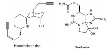 Captura_de tela 2025-01-03 103245.png 449×211