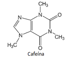 Captura_de tela 2025-01-02 155627.png 236×192