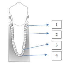 Q34.png 217×206