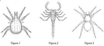 33.jpg 353×156