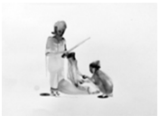23e.png 177×128