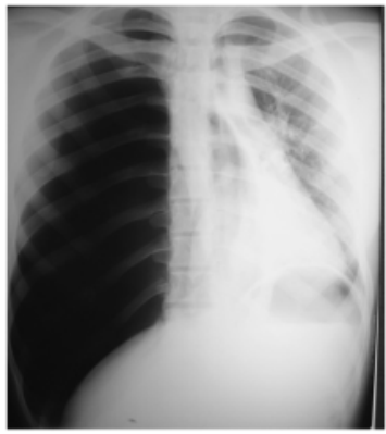 Captura_de tela 2025-01-09 132106.png 355×399