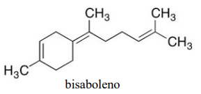 Captura_de tela 2025-04-07 154342.png 289×135