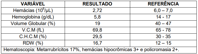 Captura_de tela 2026-02-17 201444.png 759×207