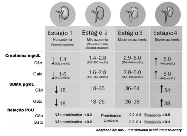 Captura_de tela 2026-02-17 151627.png 618×450