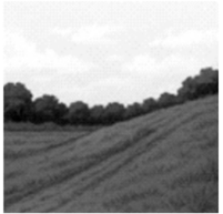 Q27B.png 201×193