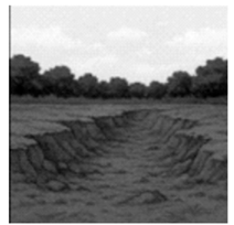 Q27D.png 212×204