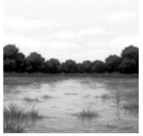 Q27E.png 208×198