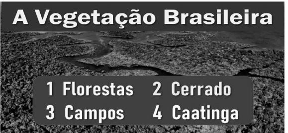 Captura_de tela 2025-02-27 093905.png 579×268