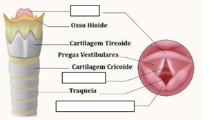 Q30.png 313×174