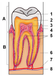 Q22.png 225×312