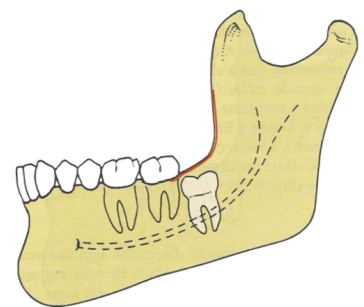 Captura_de tela 2025-12-11 065558.png 364×307
