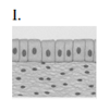 Q14_I.png 89×92