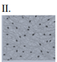 Q14_II.png 82×88