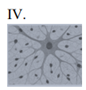 Q14_IV.png 86×90