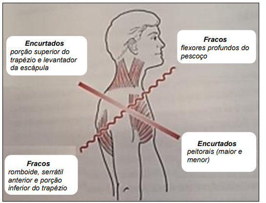 Captura_de tela 2025-10-31 192759.png 546×417