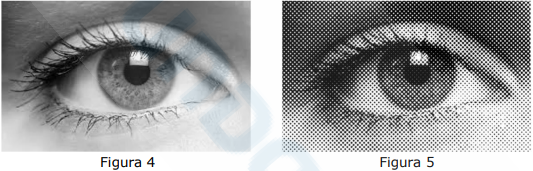 41.png 533×171
