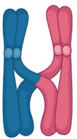 Captura_de tela 2025-02-04 101028.png 112×202