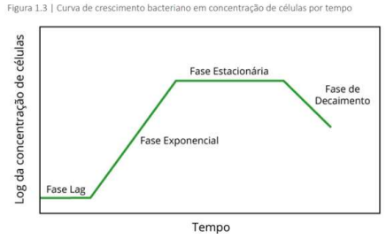 Captura_de tela 2025-12-21 182929.png 436×270
