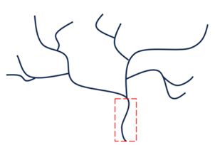 Q48.png 302×204