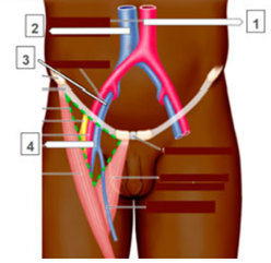 Q28.png 248×241