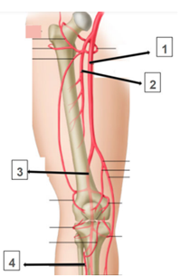 Q27.png 200×305