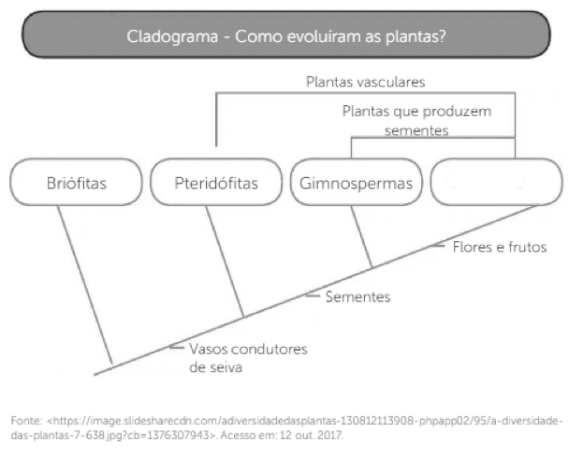 Captura_de tela 2025-06-04 091529.png 568×451