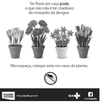 Captura_de tela 2025-03-06 112952.png 351×355