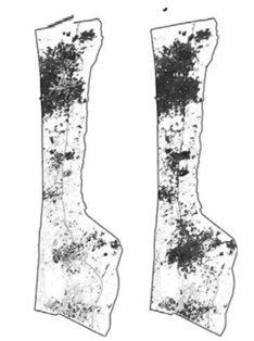 Q34.png 234×314