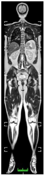 Q45.png 156×609