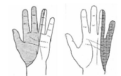 Q47.png 236×150