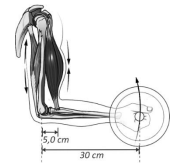 Q53.png 188×163