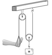 Q51.png 180×191