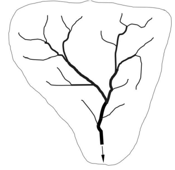 Captura_de tela 2025-07-16 185513.png 354×344