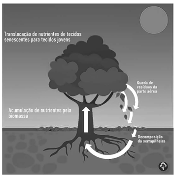 Q41.png 353×360