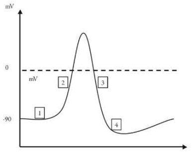 22.png 386×307