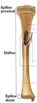 50.jpg 121×337