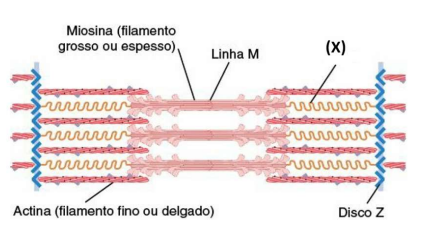 Captura_de tela 2026-04-28 132954.png 422×226