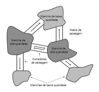 Captura_de tela 2026-06-01 090021.jpg 342×318