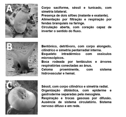 Captura_de tela 2026-06-01 152755.jpg 532×492