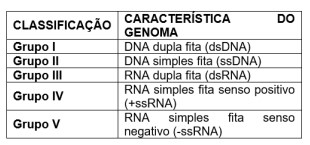 Captura_de tela 2026-06-01 152410.jpg 310×145