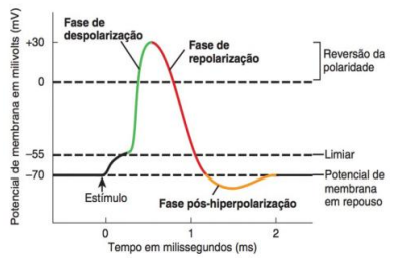 Captura_de tela 2026-01-22 102400.png 393×260