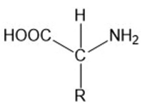 q_35 quimica.png 199×146
