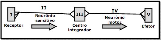 imagem-009.jpg