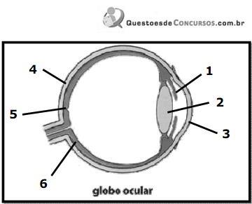 imagem-004.jpg
