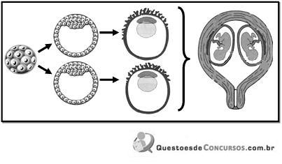 imagem-003.jpg