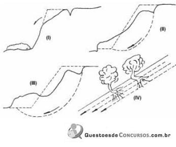 Imagem 007.jpg